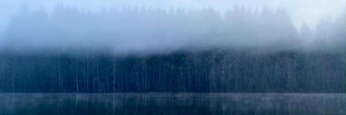 Fog over a lake with dramatic tree line. Behind the trees is a flat running path.