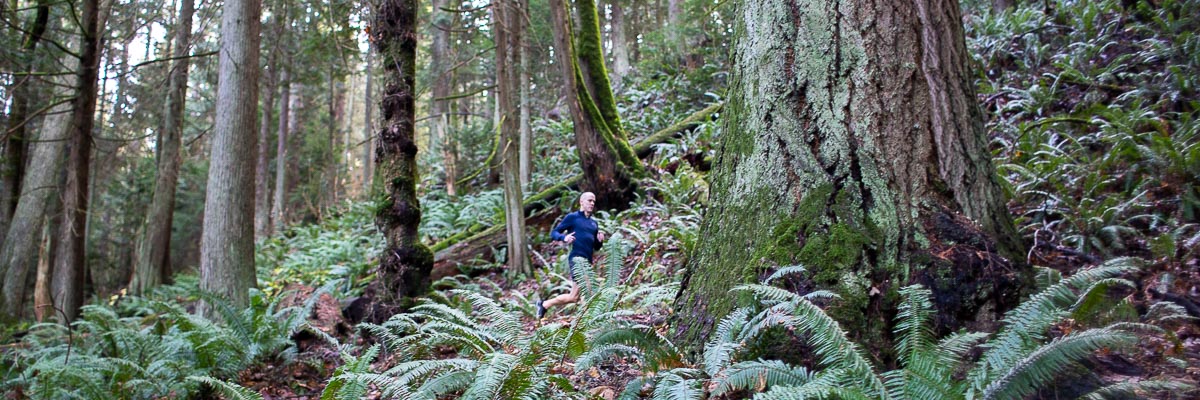 Mac running down trail finishing an easy jog in the mountains.