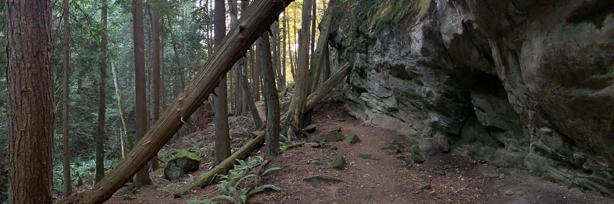A running trail winding under fallen western red cedars and an exposed rock face.